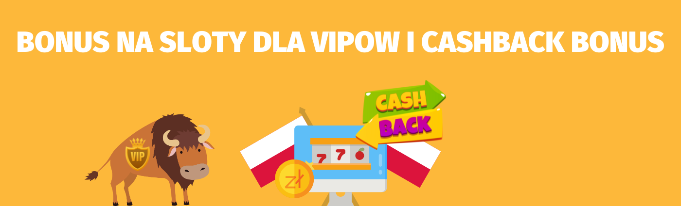 Dowiedz się, czym są specjalne oferty dla VIPów i jak je otrzymać i sprawdź, na czym polega Cashback!